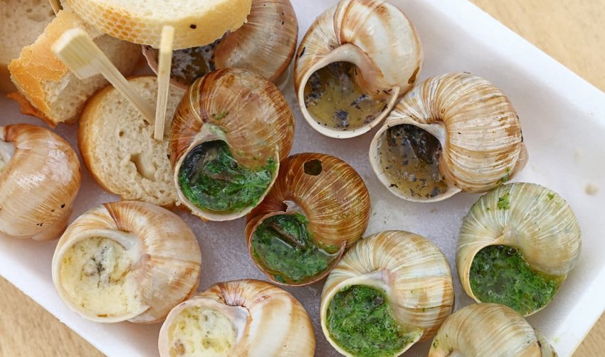 France – Escargot 