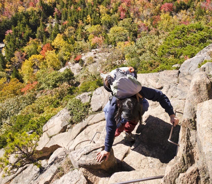 Beehive Loop Trail