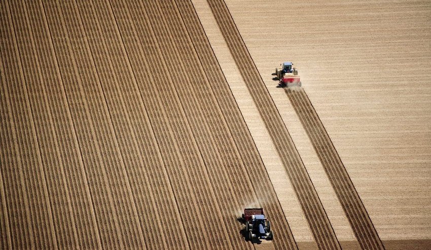 Potatoes: Shelley, ID