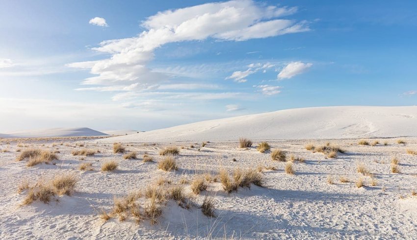 Explore White Sands National Monument