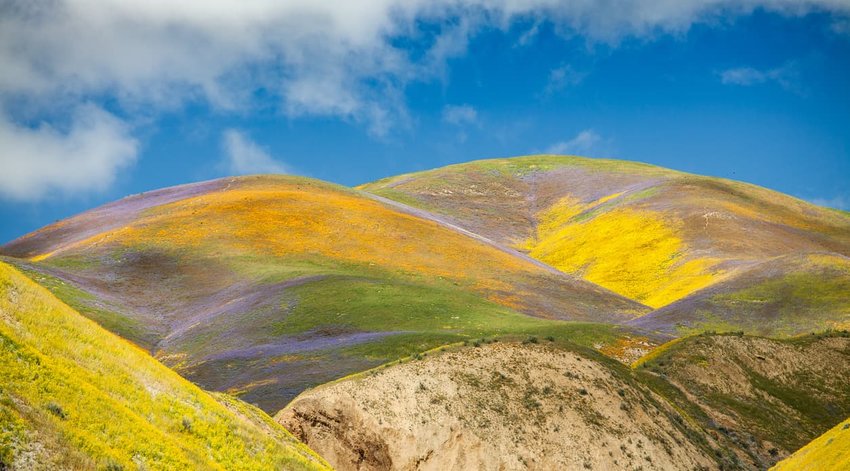 Carrizo Plains National Monument, California