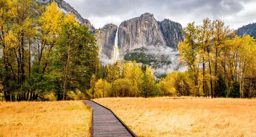 Yosemite National Park Valley