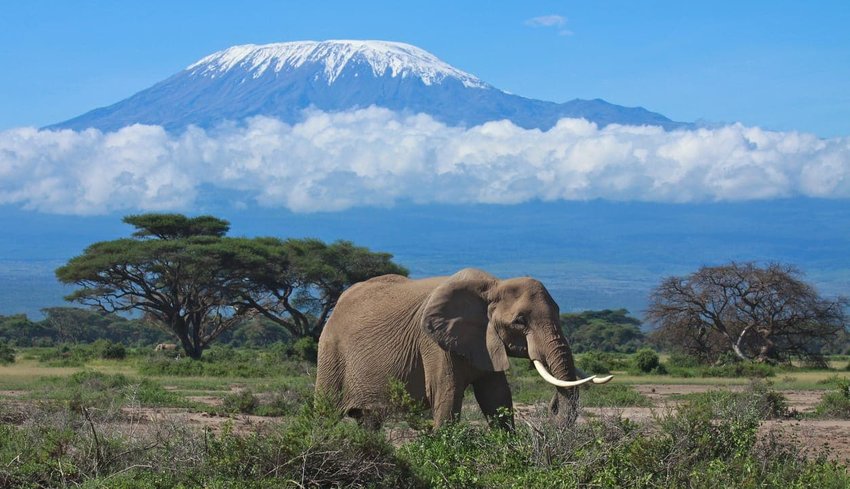 Mount Kilimanjaro – Tanzania