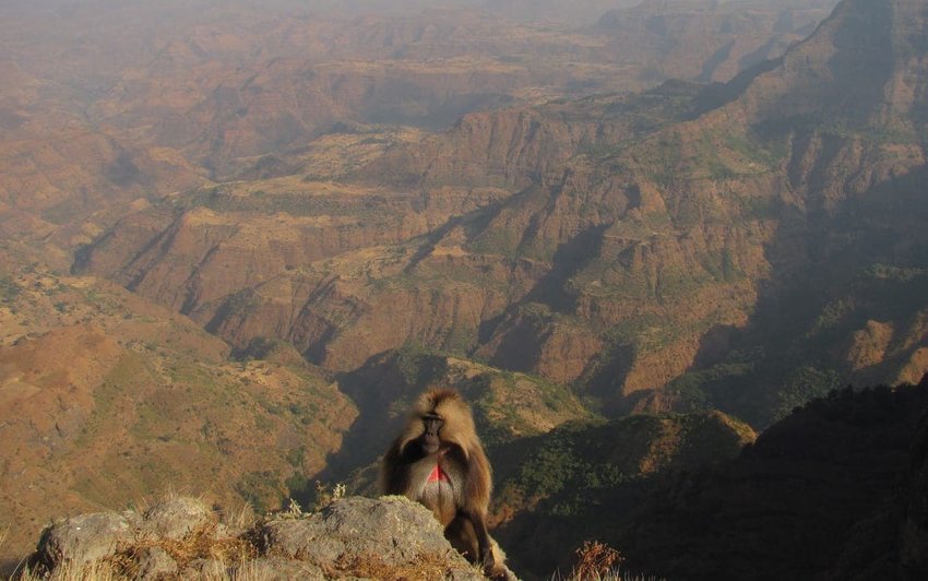 Simien Mountains – Ethiopia