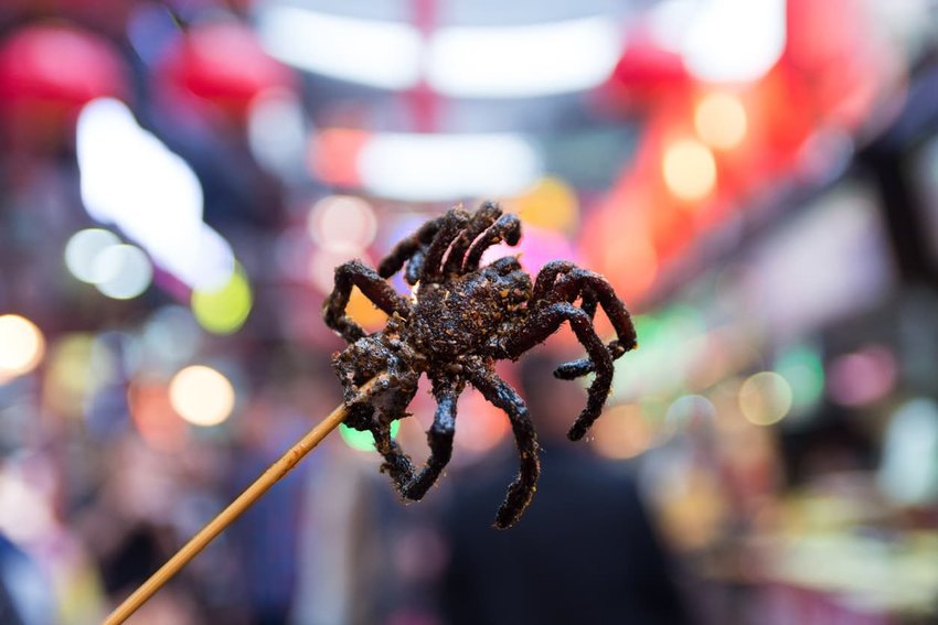 Fried Tarantulas, Cambodia