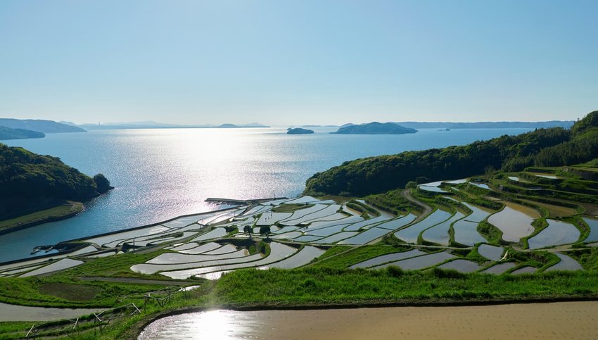 Hamanoura Rice Terraces, Japan