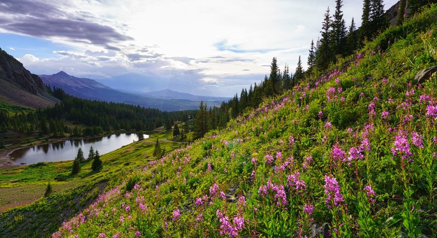 The Ultimate Guide to Hiking Telluride