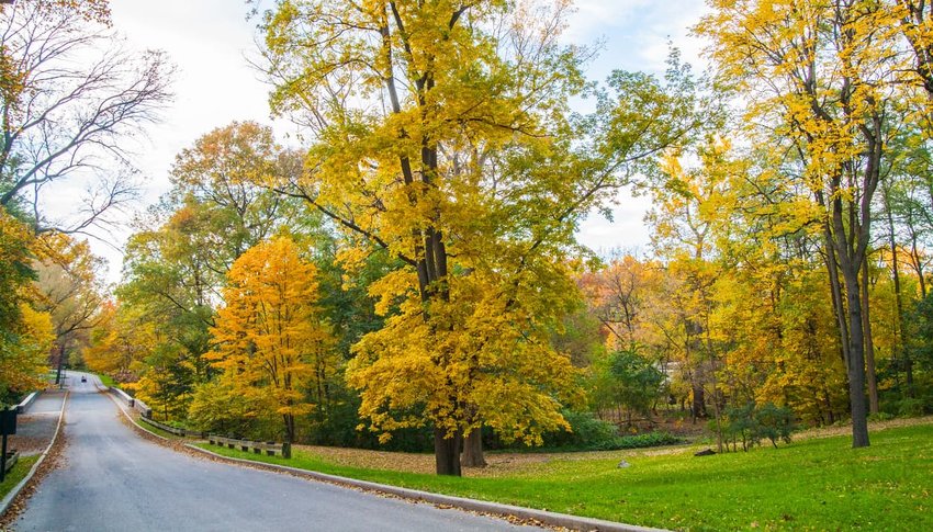 New York Botanical Garden, New York