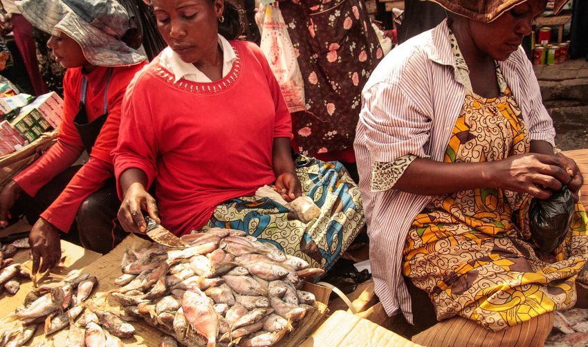 women selling fish in market in Africa