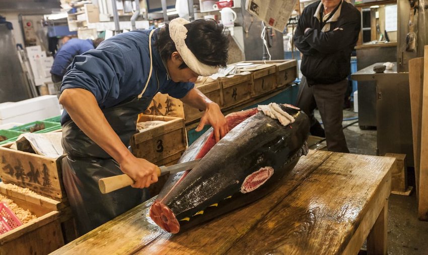 Cutting tuna at Tsukiji Fish Market