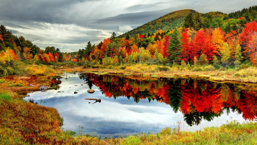 8 Places in the U.S. to See the Leaves Change Color This Fall