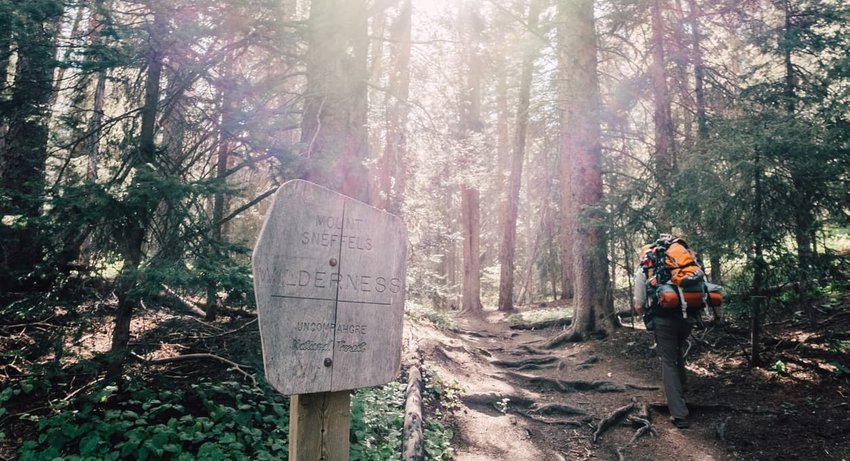 mt. sneffels trail, telluride