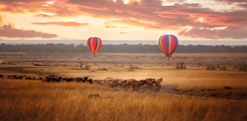 Masai Mara, Kenya