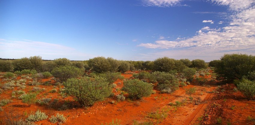 Maralinga, South Australia