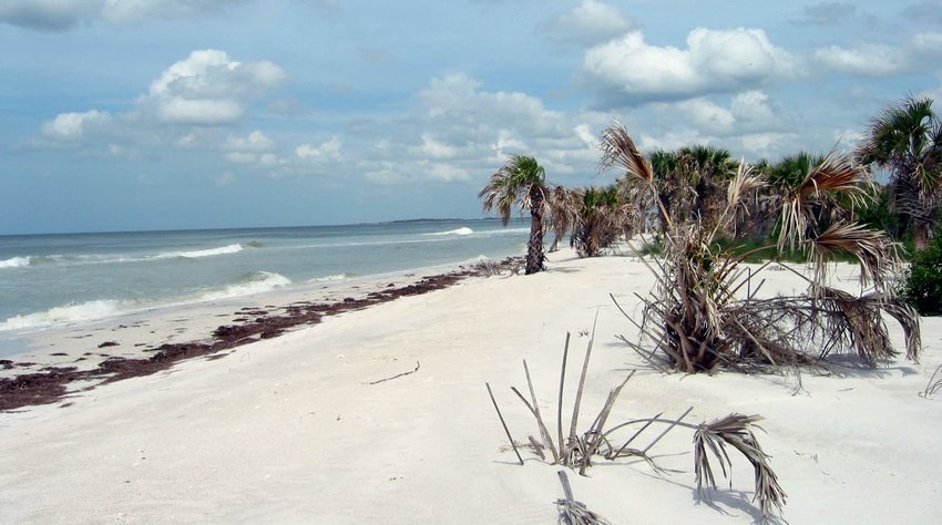 Caladesi Island, Florida
