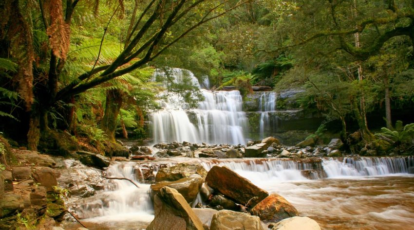 Liffey falls, Tasmania