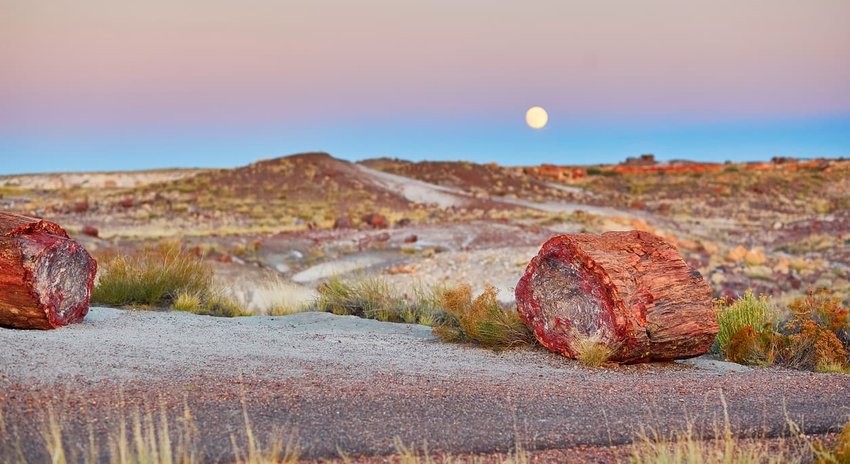 Petrified forest national park, Arizona, USA