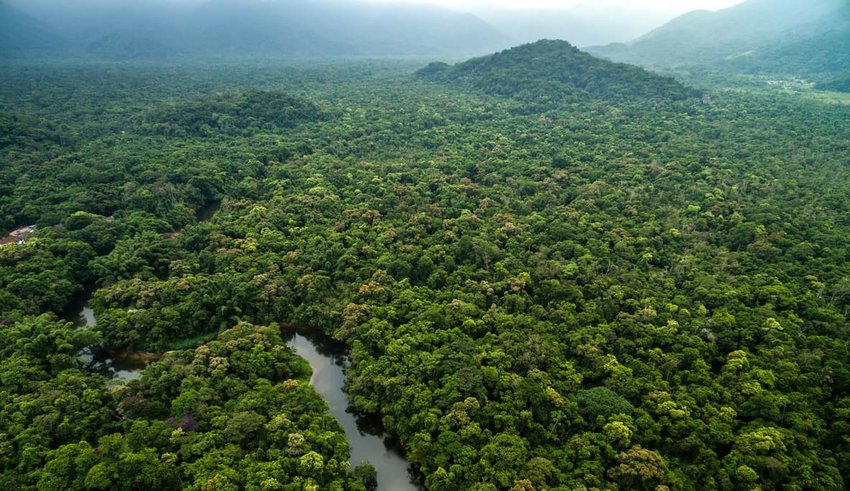 Aerial View of Rainforest in Brazil