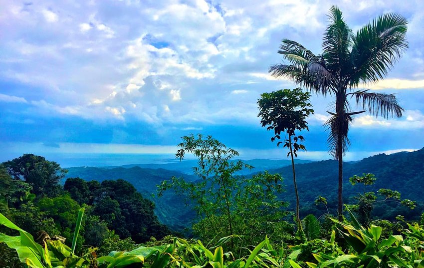 7 Rainforests to Add to Your Adventure Bucket List