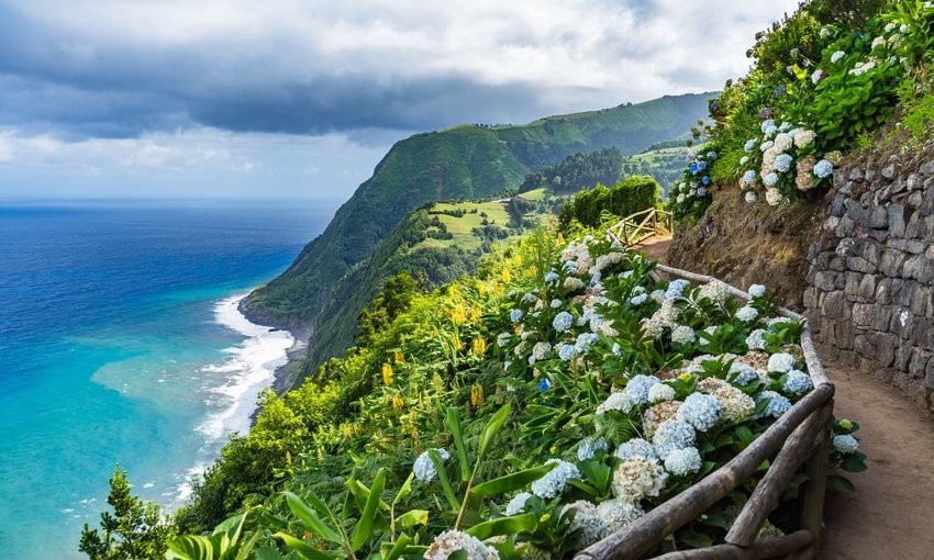 Coastal path with Hydrangeas, Sao Miguel, Azores, Portugal