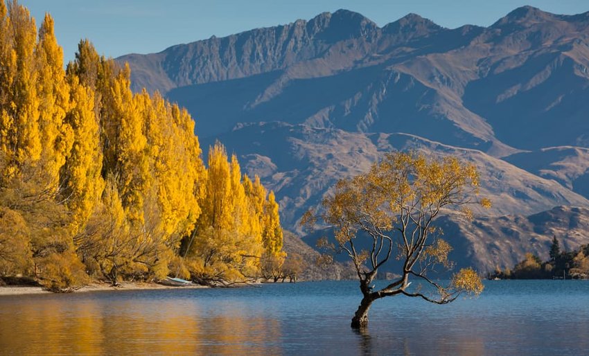 Lake Wanaka in autumn colors, New Zealand