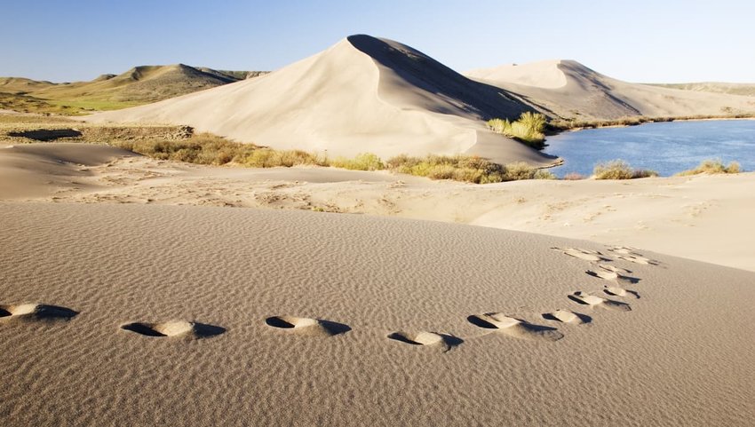 Bruneau Sand Dunes