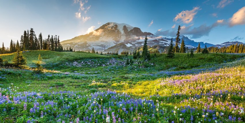 Gorgeous Spots to Backpack in the U.S.
