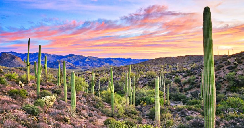 sunrise over the desert, Phoenix, Arizona
