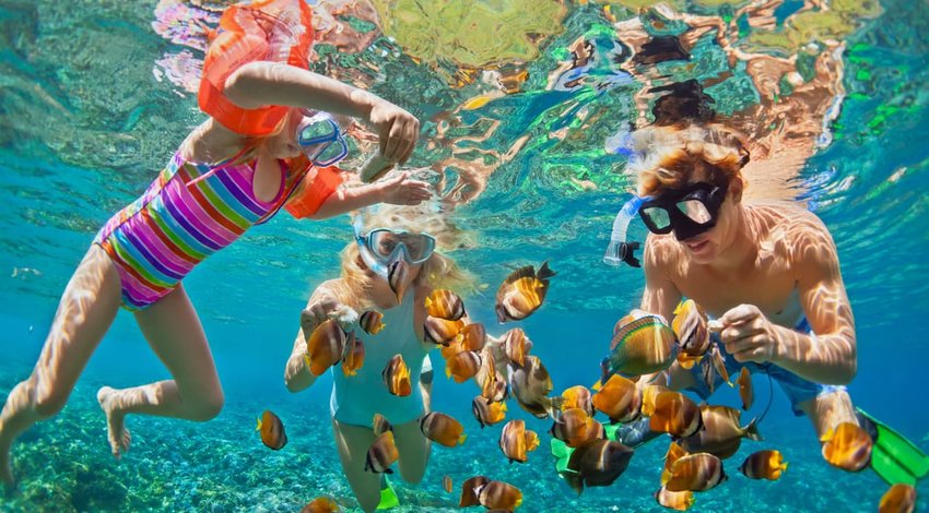 Happy family snorkelling in tropical sea