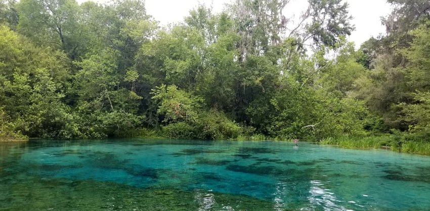 Ichetucknee Headspring Dreamscape