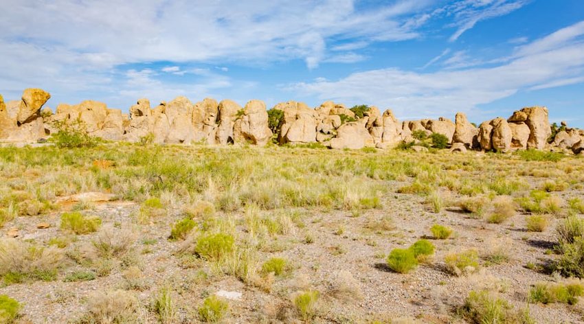 City of Rocks State Park in New Mexico, USA