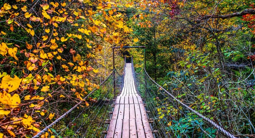 A Walk Through Fall, Fall Creek Falls State Park, Pikeville, Tennessee, United States