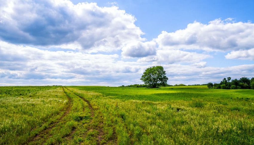 A pathway road going through the fields with fluffy clouds, Missouri