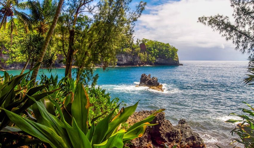Rain forest near Hilo, Hawaii on a rocky beach shore overlooking the vast blue Pacific Ocean.