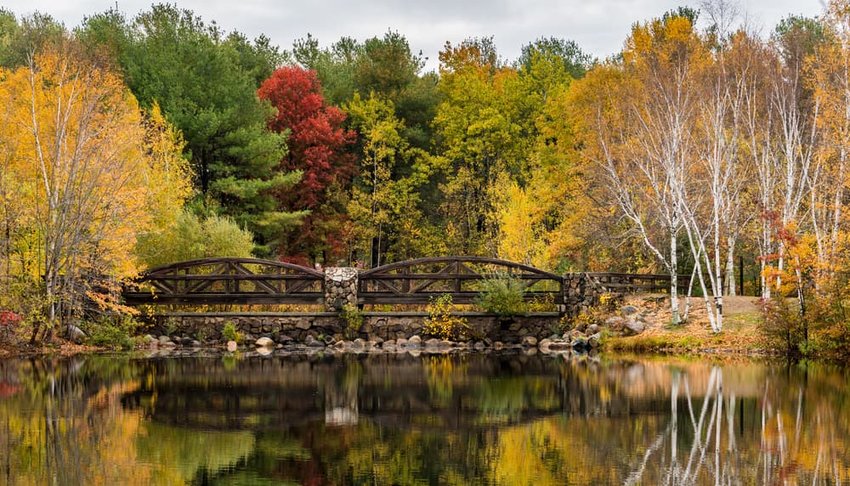 A Bridge and Colorful Trees Reflected in a Pond in Fall