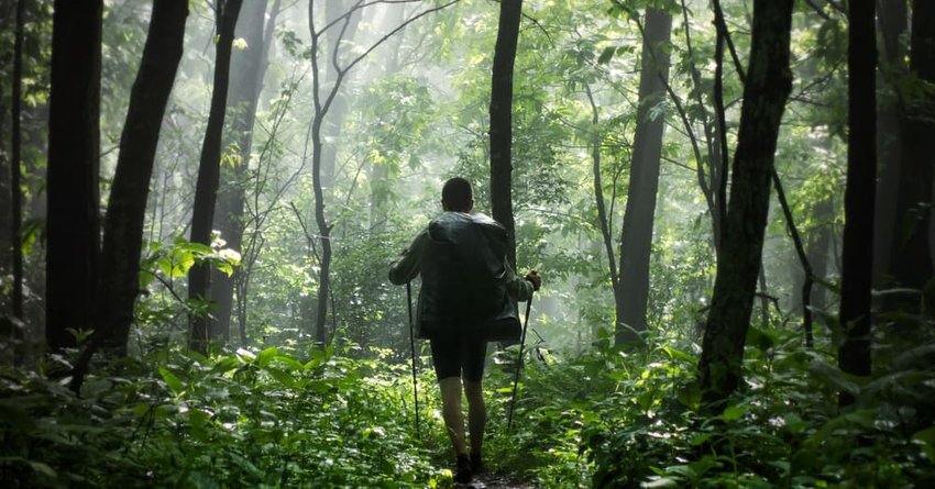 Man hiking in the woods after the rain stopped