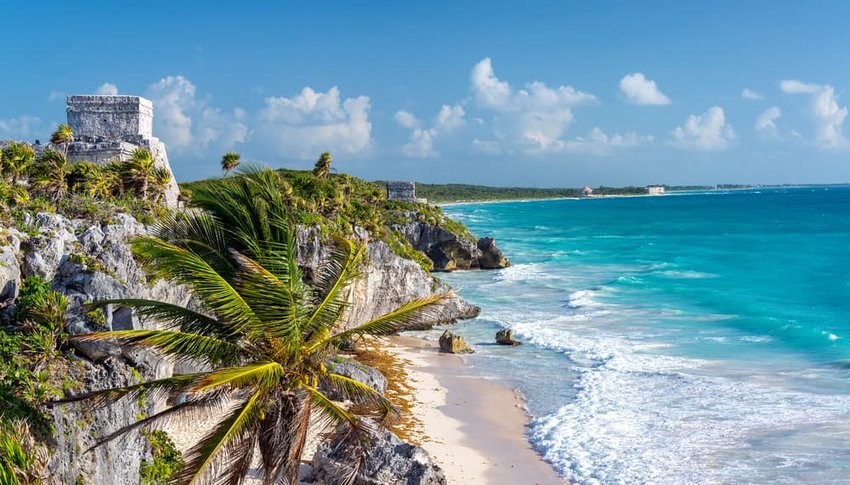 Ruins of Tulum, Mexico and a palm tree overlooking the Caribbean Sea in the Riviera Maya