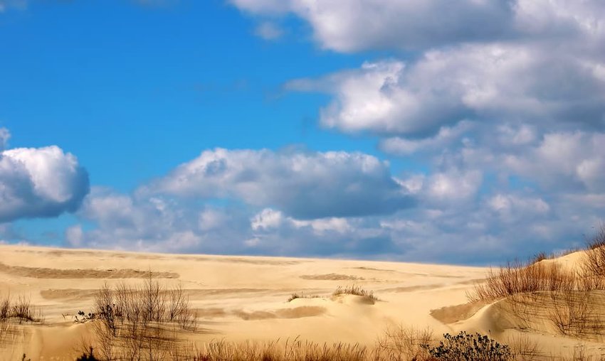 Jockey's Ridge State Park in Kitty Hawk North Carolina.