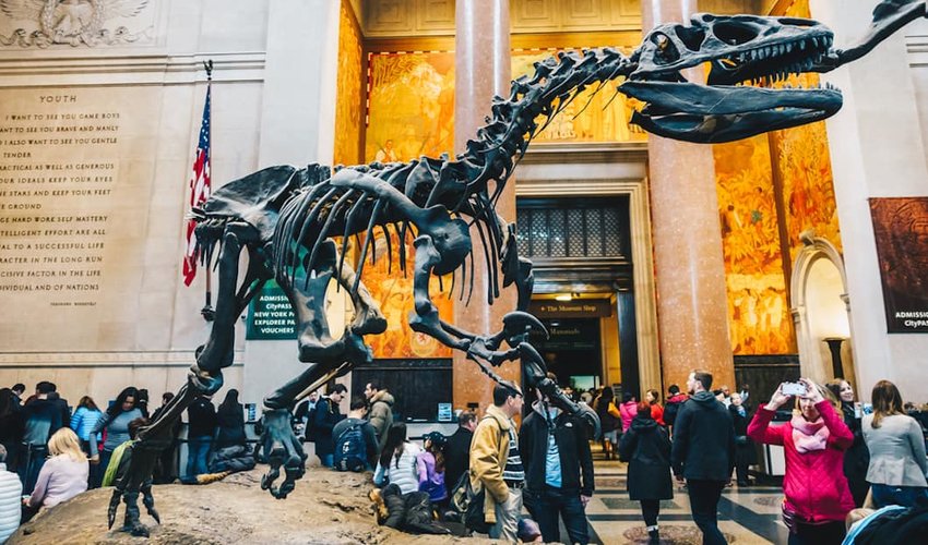 10 Coolest Museums in the U.S.