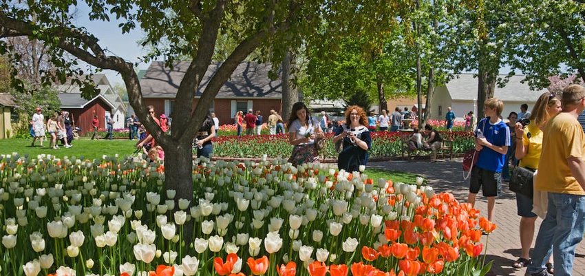 Tulip Time festival in Pella, Iowa