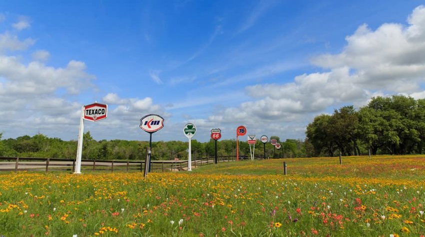 Old gas signs in a field of spring flowers during the antique weekend.