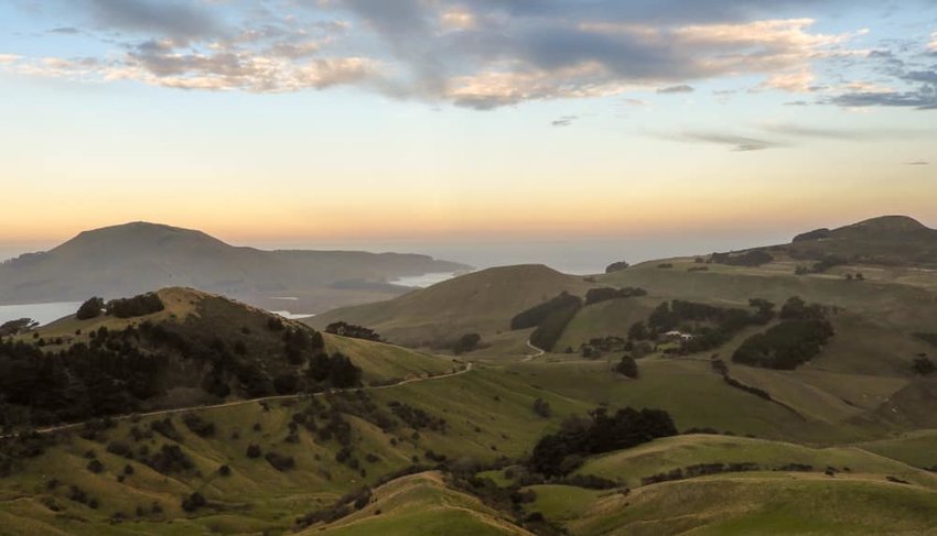 Otago Peninsula next to Dunedin, New Zealand