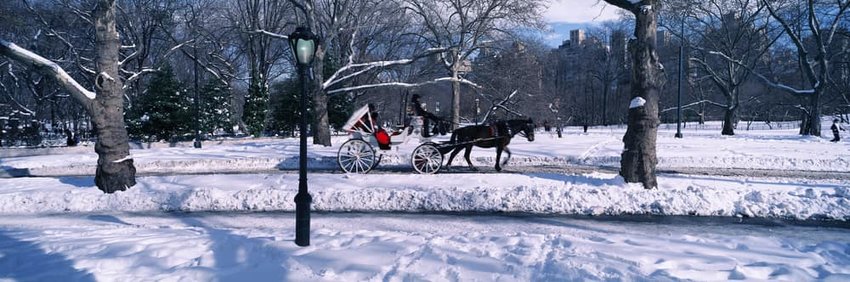 Panoramic view of snowy city street lamps with horse carriage in central park