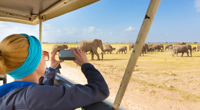 Woman taking a photo on a safari