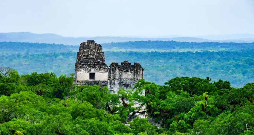 aerial view of Tikal, Guatemala