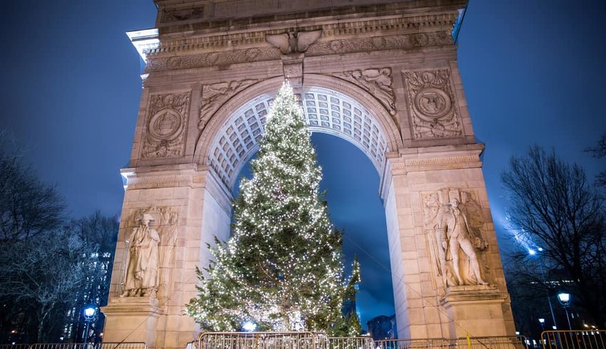 Christmas tree under arch on Washington Square North at night in NYC.