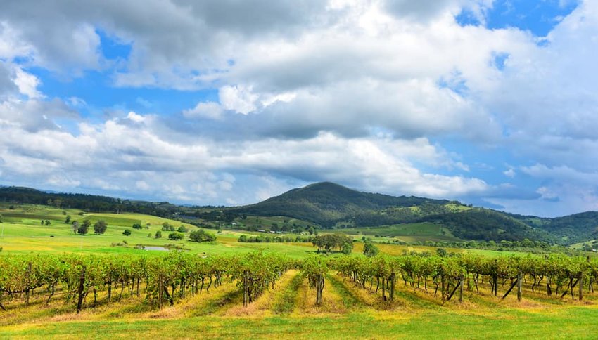 Hunter-Valley--Australia