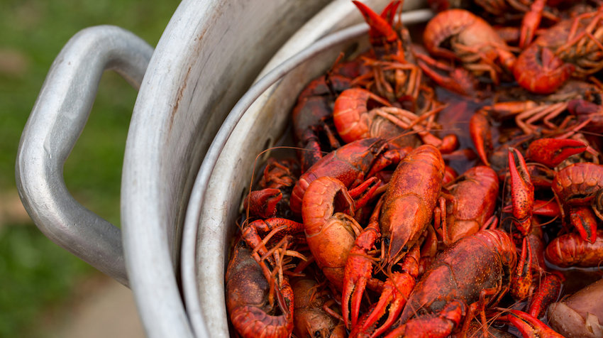 Louisiana-Crawfish-Boil