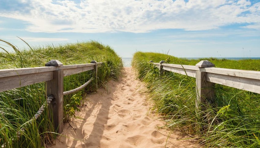 beach-at-Basin-Head