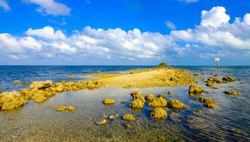 Photo of a sand bar and the ocean in Biscayne National Park